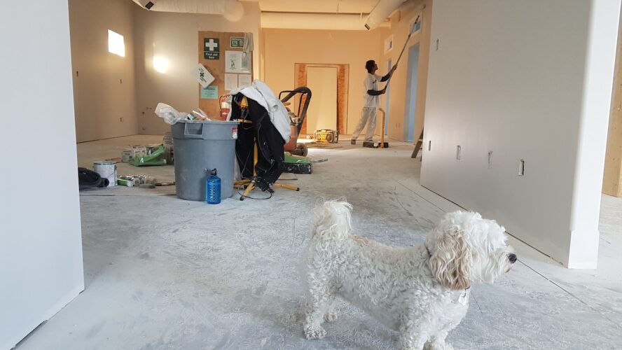 Malowanie mieszkania – zlecenie prac